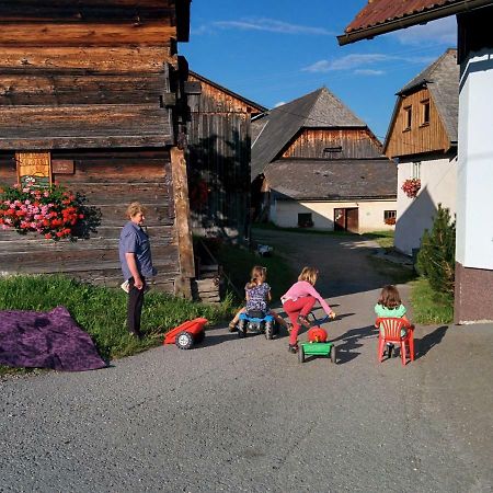 Rettlhof Villa Sankt Peter am Kammersberg Exterior foto