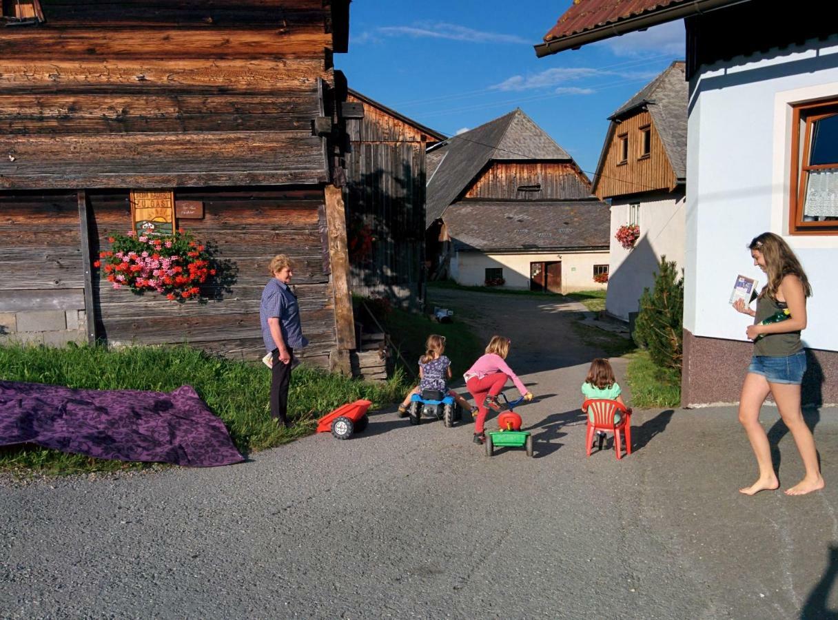 Rettlhof Villa Sankt Peter am Kammersberg Exterior foto